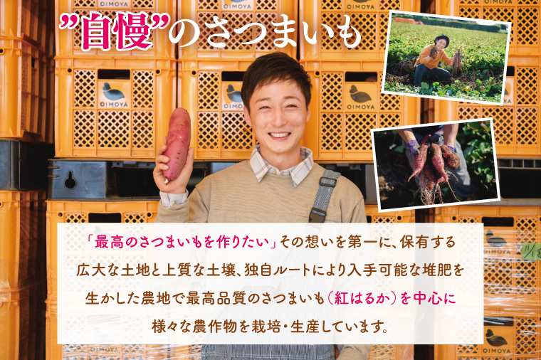 【12月より順次発送】冷凍 壺焼き芋 紅はるか1㎏（500g×2）【さつまいも 芋 いも  焼き芋 焼芋 やきいも 茨城県 水戸市 水戸 5000円以内】（IN-11)