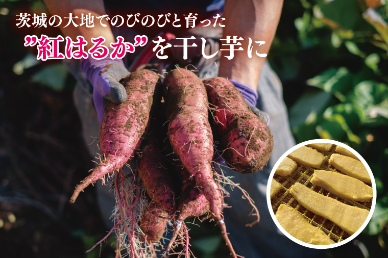 【12月より順次発送】干し芋 平干し 紅はるか 1.5kg（250g×6）【干し芋 干しいも ほし芋 芋 さつまいも さつま芋 紅はるか 茨城県 水戸市】（IN-5)