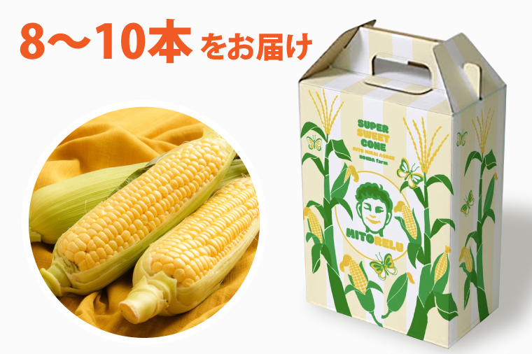 【6月より順次発送】【本田農園】ミトレル朝どれトウモロコシ【とうもろこし コーン 野菜 新鮮 期間限定 朝採れ 糖度 お取り寄せ 旬 旬野菜 水戸市 茨城県】（JN-1）