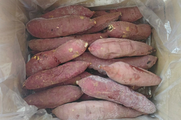 【数量限定】紅はるか焼き芋S～SSサイズ２kg箱【焼いも 焼芋 いも やきいも さつまいも 蜜芋 冷凍 紅はるか 水戸市 茨城県 10000円以内 1万円以内】（KE-1）