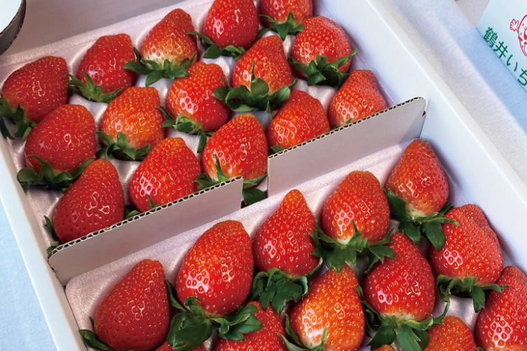 【2026年1月中旬以降発送】【数量限定】【朝採れ】いちご やよいひめ特選2パック【茨城県共通返礼品／石岡市】【果物 くだもの フルーツ 苺 イチゴ 完熟 甘い 農家直送】（KU-12）