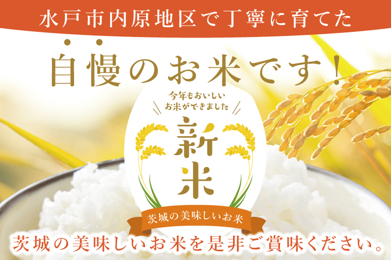 【11月下旬より発送】【数量限定】【家計応援】令和7年度産 新米 農家直送 コシヒカリ 10kg【米 こしひかり ごはん おにぎり 水戸市 水戸 茨城県 】(KV-6)