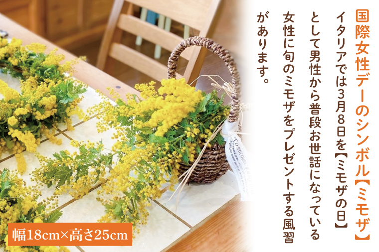 【3月以降発送・数量限定】ミモザのバスケットアレンジ（限定品）【インテリア おしゃれ 壁飾り プレゼント お花 ギフト ナチュラル アレンジ フラワーアレンジ 水戸市 水戸 茨城県 10000円以内 1万円以内】（KW-4）