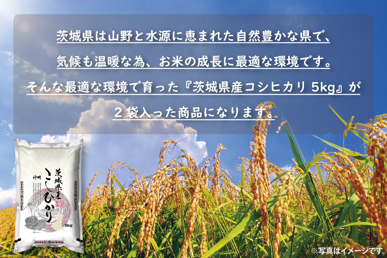 令和7年産茨城コシヒカリ5kg×2【新米 お米 こめ 米 こしひかり 茨城県 茨城県産 】（LL-5）