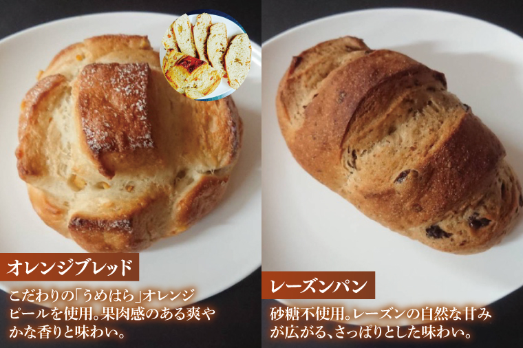 【数量限定】水戸産小麦粉をふんだんに使用した贅沢な大きめのパン５種詰め合わせ【総菜パン 菓子パン 食事パン冷凍 水戸市 茨城県】（ LS-1）