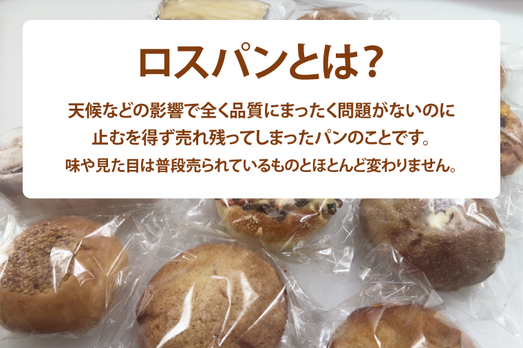 【訳あり】ロスパン詰め合わせ（10個）【総菜パン 菓子パン 食事パン おまかせ 冷凍 水戸市 水戸 10000円以内 1万円 あんぱん メロンパン】（ LV-1）