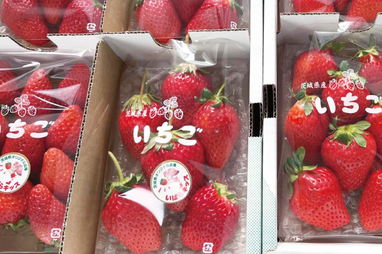 【数量限定】【離島配送不可】いばらキッス 4パック/箱【茨城県共通返礼品/石岡市】【いちご イチゴ 苺 果物 くだもの  フルーツ 茨城県オリジナル品種 茨城県】（LX-2）