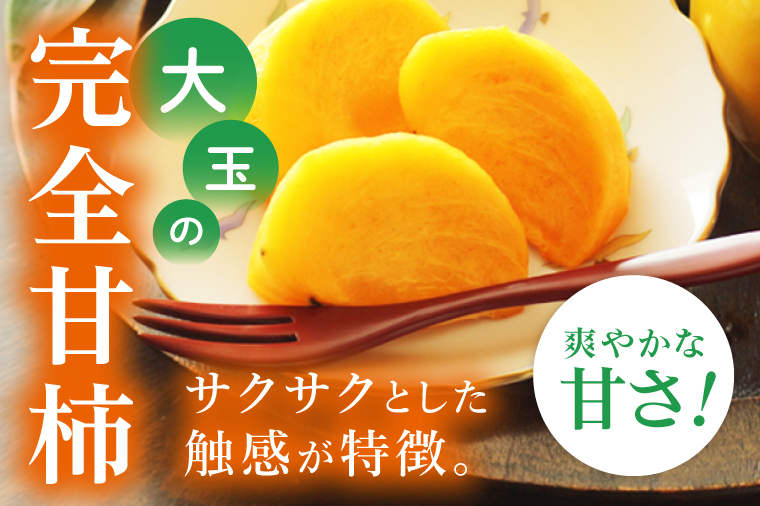 【2026年10月上旬より順次発送】【数量限定】太秋柿 約2kg（6-8玉）【フルーツ 果物 柿 甘柿 完熟 くだもの デザート おやつ 水戸市 茨城県】（MA-4）