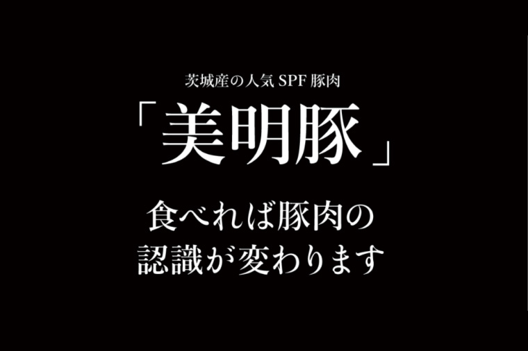 【数量限定】美明豚の水戸しゃぶしゃぶ鍋 梅だし（バラ500g）【しゃぶしゃぶ 鍋 ブランド豚 豚バラ 特製だし 昆布 水戸市 茨城県】（MG-1）
