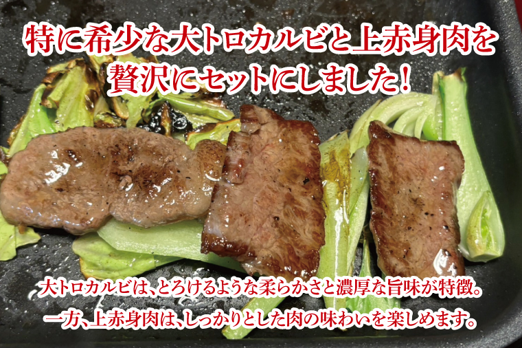【数量限定】常陸牛 大トロカルビ100g・上赤身肉100g【牛肉 和牛 ブランド牛 常陸牛 パーティ BBQ バーベキュー 水戸市 茨城県】(MJ-1)