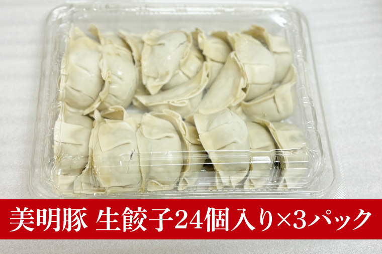 【数量限定】肉屋が作る美明豚生餃子24個入 3パック【ブランド豚 国産 焼き餃子 冷凍 ぎょうざ ギョーザ 冷凍餃子 簡単調理 惣菜 おかず 水戸市 水戸 茨城県】（MJ-6）