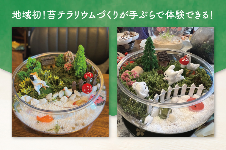 苔（コケ）とジオラマ、フィギュアを使ったテラリウム作り体験！【苔テラリウム ハンドメイド ワークショップ オリジナル 水戸市 茨城県】（MW-1）