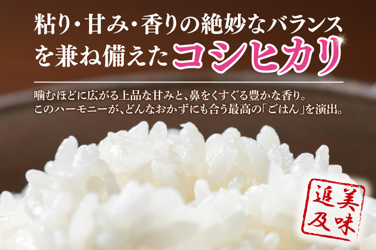 【数量限定】【令和7年産】【６ヵ月定期便】美味追求 茨城県産こしひかり 5kg×6 【定期便 お米 ごはん こしひかり 精米 おにぎり ごはん 茨城県 水戸市 30キロ】(NA-3)