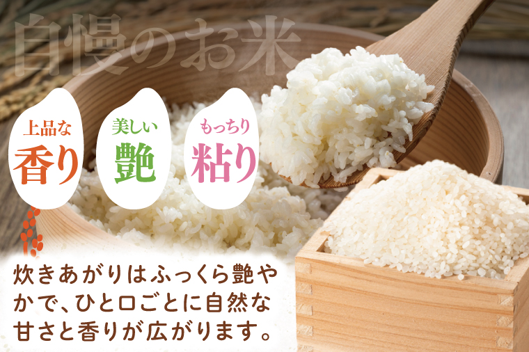 【数量限定】【令和7年産新米】水戸産コシヒカリ5㎏ 精米【お米 ごはん コシヒカリ おにぎり ごはん 茨城県 水戸市】(NP-3)