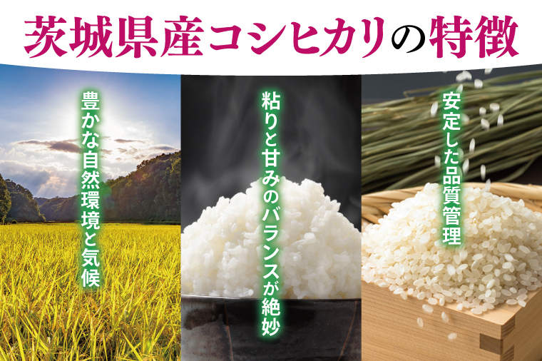 【数量限定】【令和7年産】茨城県産コシヒカリ 5kg 【お米 ごはん こしひかり おにぎり ごはん 茨城県 水戸市】(NQ-1)