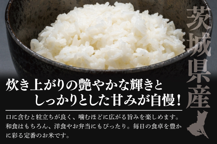 【数量限定】令和7年茨城県産コシヒカリ5kg【お米 ごはん こしひかり おにぎり ごはん 茨城県 水戸市】(NU-1)