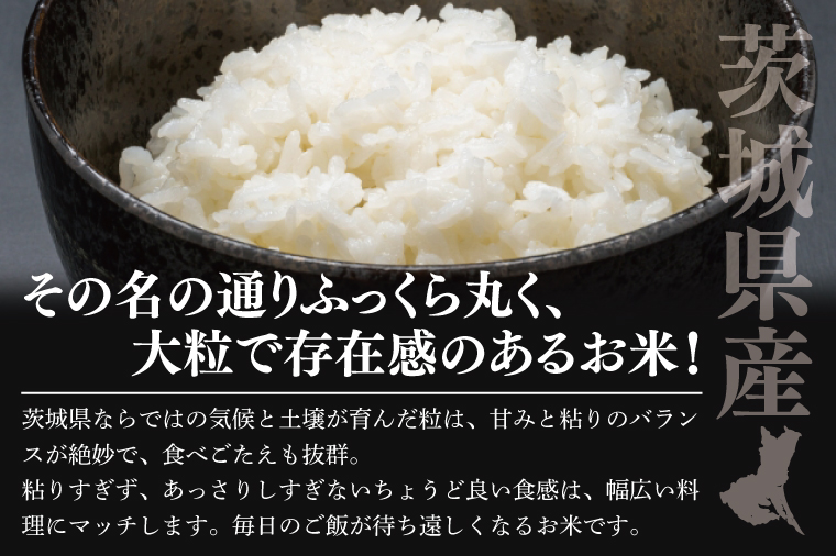 【数量限定】令和7年茨城県産ふくまる5kg【お米 ごはん ふくまる おにぎり ごはん 茨城県 水戸市】(NU-4)