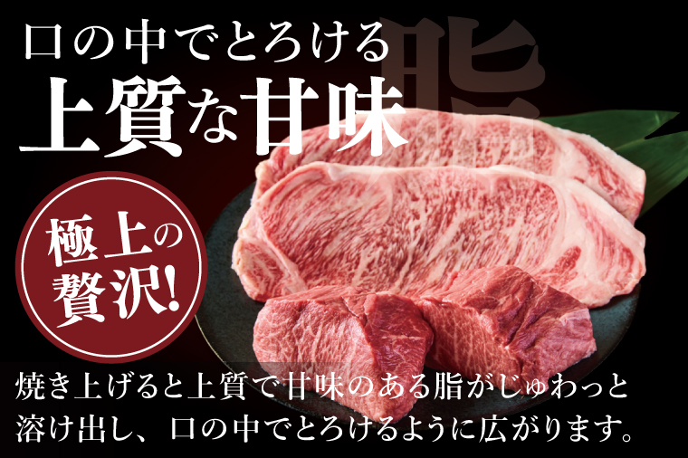常陸牛2種ステーキ　(サーロインステーキ400g、赤身ステーキ400g)【常陸牛 国産牛 和牛 牛肉 ステーキ ジューシー  茨城県 水戸市】（NW-11）
