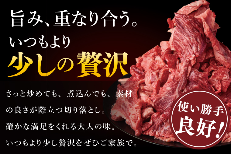 常陸牛切り落とし 1kg【常陸牛 国産牛 和牛 牛肉 切り落とし ジューシー 茨城県 水戸市】（NW-6）