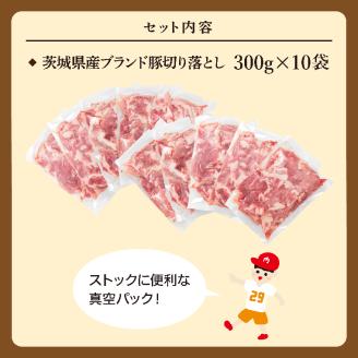 【数量限定】リピーター続出！茨城県産ブランド豚切り落とし3kg (300g×10p)【肉 豚肉 切り落とし 小分け 真空 真空パック 茨城県産 肉料理 肩ロース ウデ モモ バラ 水戸市 水戸】（EC-101）