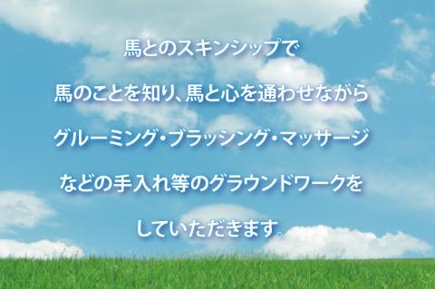 ホースセラピー・癒しコース（120分）【乗馬 馬 ポニー サラブレッド ブラッシング リラクゼーション 水戸市 茨城県】（EY-1）