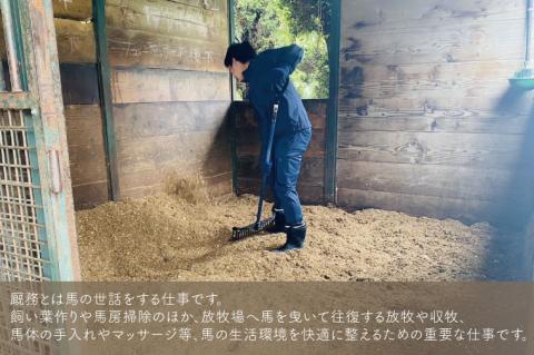 厩務員チャレンジコース（240分）【乗馬 馬 体験 水戸市 茨城県】（EY-2）