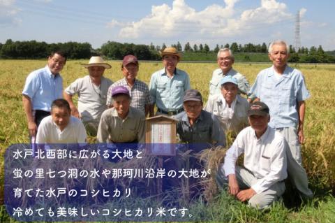 【数量限定】ローマ教皇献上米 令和7年産ミトヒカリ（コシヒカリ特別栽培米）※離島への発送不可※着日指定送不可 【新米 お米 ごはん こしひかり 5キロ 白米 茨城県産 水戸市】（AN-2）