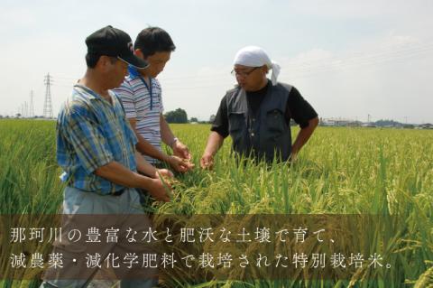 【3ヶ月定期便】【令和7年産】特別栽培米コシヒカリ「風彩常澄」計15kg（5kg×3回）【最高 ランク 特A コシヒカリ 水戸市 オリジナル ブランド 農林水産省大臣賞受賞 減農薬 減化学肥料 栽培 ふっくら 美味しい お米 ご飯】 （FC-103）