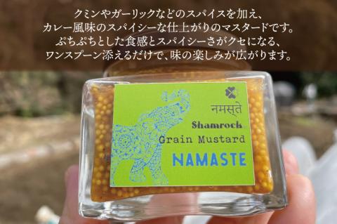 Shamrock粒マスタード（NAMASTEナマステ）3個【調味料 マスタード スパイス  粒マスタード 粒 ハム ウインナー ソーセージ 肉 魚 野菜】（FE-106）