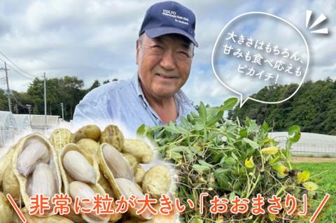 【期間限定】数量限定★秋の味覚セット★モーツァルトを聞かせた干し芋！！ 紅はるか平干し500g＆ゆで落花生（訳あり）500g【干しいも ほしいも 紅はるか さつまいも サツマイモ モーツァルト 音響熟成 熟成 落花生 ピーナッツ 訳アリ 自社農場 無添加 無着色 水戸市 水戸 茨城県】（AY-9）