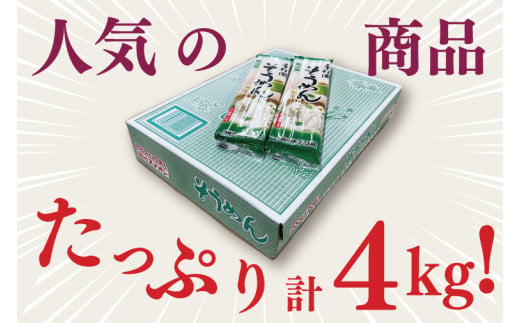 【麺のスナオシ】手打風そうめん１箱　4kg（200ｇ×20袋）（乾麺）乾麺 素麺 そうめん お取り寄せ 高評価 麺 即席麺 ストック 生活応援 非常食 簡単調理 長期保存 保存食 防災 人気 大容量 ローリングストック 水戸市 茨城県（BY-9）