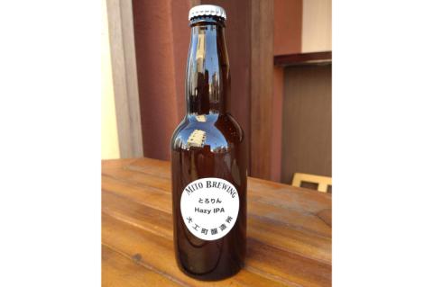 第１回水戸さきがけビジネス大賞 優秀賞受賞！【ぬりや】クラフトビール12本詰め合わせ【お酒 クラフトビール ビール ふるさと納税 水戸市 茨城県】（GW-2）