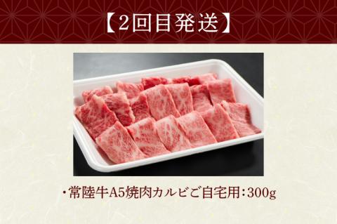 【定期便 全3回】 常陸牛 3ヶ月 定期便 Bコース 食べ物 肉 常陸牛ハンバーグ 10個 無添加 冷凍 焼き肉 カルビ 焼肉 しゃぶしゃぶ ギフト セット ふるさと納税 【肉のイイジマ】 茨城県(DU-104)