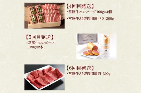【定期便 全6回】 肉 常陸牛 6ヶ月 定期便 Aコース ハンバーグ 焼肉 すき焼き レトルトカレー コンビーフ ギフト セット 食べ物ギフト対応 【肉のイイジマ】 茨城県 水戸市（DU-107）