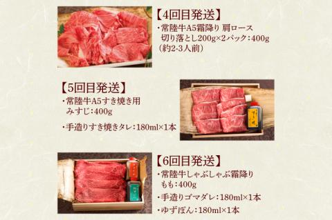 【定期便 全6回】常陸牛 6ヶ月 定期便 Bコース 食べ物 肉 ハンバーグ 焼肉 すき焼き しゃぶしゃぶ レトルト 常陸牛カレー ビーフカレー セット ギフト対応 【肉のイイジマ】 茨城県 水戸市（DU-108）