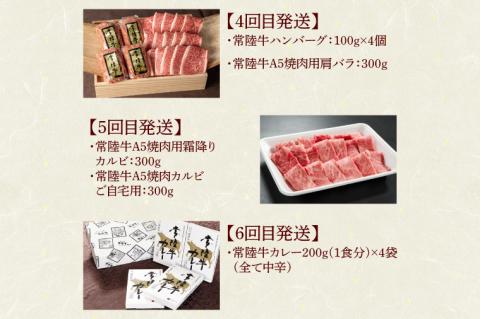 【定期便 全12回】 高級肉 常陸牛 12ヶ月 定期便 Aコース 148000円 毎月 常陸牛ハンバーグ 焼肉 すき焼き しゃぶしゃぶ コンビーフ レトルトカレー ギフト セット 肉 ギフト対応 【肉のイイジマ】（DU-111）