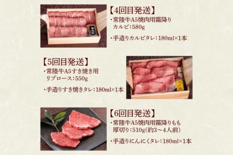 【定期便 全12回】 常陸牛 12ヶ月 定期便 Cコース 肉 常陸牛ハンバーグ 焼肉 すき焼き しゃぶしゃぶ リブロース ステーキ 常陸牛カレー レトルト ビーフ ギフト セット（DU-113）