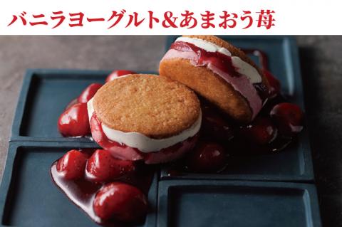 【CINARIS】バスク・バターサンド 6個入【ガトーバスク オリジナル プレミアムバターサンド デザート バニラ ヨーグルト あまおう イチゴ パッションフルーツ パイナップル ココナッツ ショコラ カカオ シャインマスカット シャンパン 塩キャラメル くるみ お取り寄せ サクサク スイーツ 水戸市 茨城県】（AC-3）