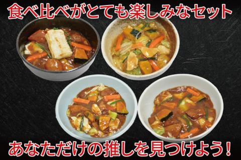 【日時指定必須】スタミナラーメン４種食べ比べセット（長井おやじ、水車、八海、日向各１食＋餅１個）【ラーメン 麺 スタミナ 冷やし ラーメン 食べ比べ ご当地ラーメン ご当地グルメ 茨城県 水戸市】（FF-11）