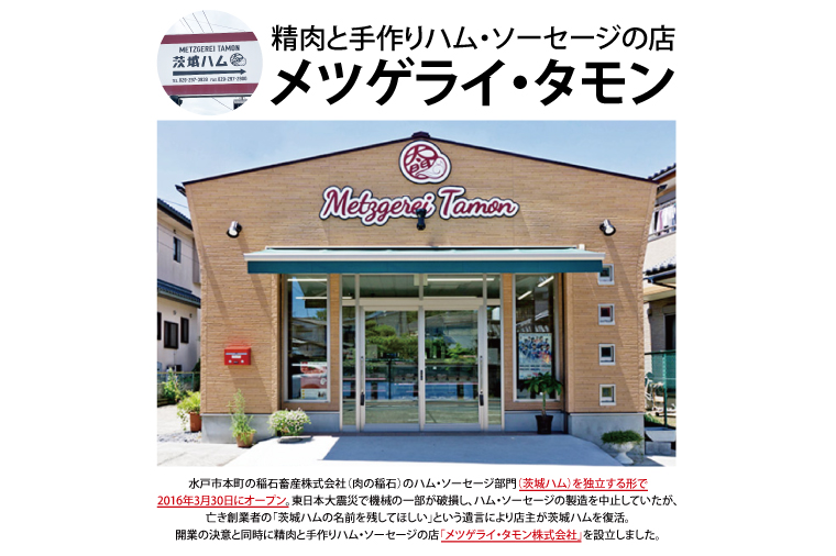 常陸牛ビーフカレー10パックセット【常陸牛 黒毛和牛 カレー レトルトカレー レトルト レトルト食品 熟成 セット 保存食 非常食】（BA-14）