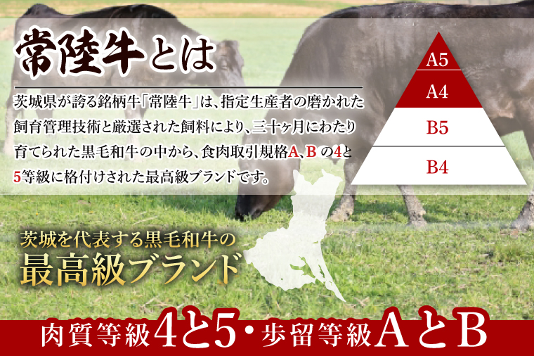 【茨城県共通返礼品】常陸牛 丸ごと１頭分 約440kg【肉 お肉 牛肉 贈答 別送対応 最高級 希少部位 A5ランク 黒毛和牛 カット済み 高品質】（BG-30）