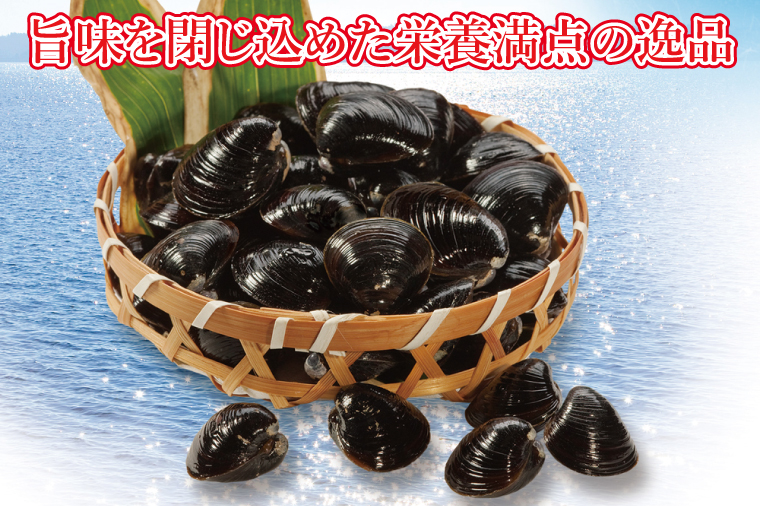 涸沼のプリップリ中粒冷凍しじみ（砂抜き済）【蜆 シジミ 10000円以内 クール すなぬき 味噌汁 栄養 貝汁 贈り物 ギフト 水戸市】（BJ-1）