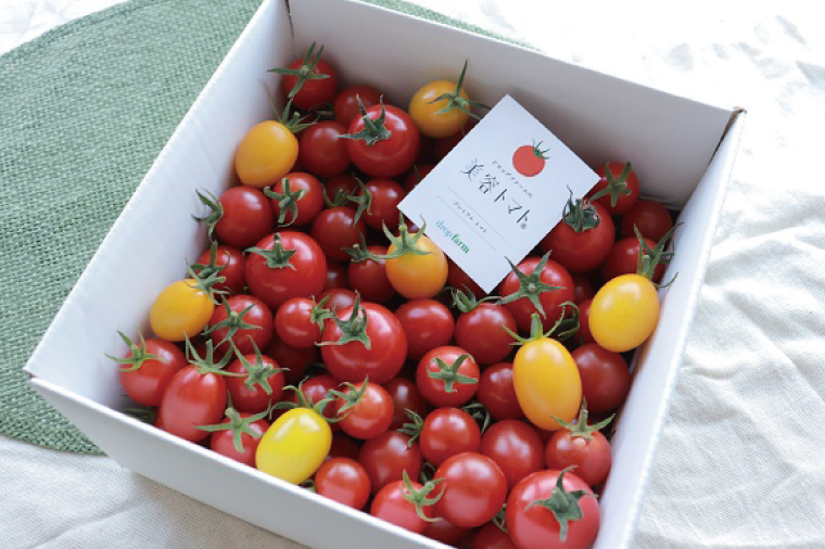 【4ヶ月定期便】【11月より順次発送】ドロップファームの美容トマトおまかせ1kg箱(４種ミックス)【とまと フルーツトマト 野菜ソムリエ 栄養士 アイコ イエローアイコ 小鈴 フルティカ 野菜 フレッシュ 水戸市 茨城県】（CK-15）