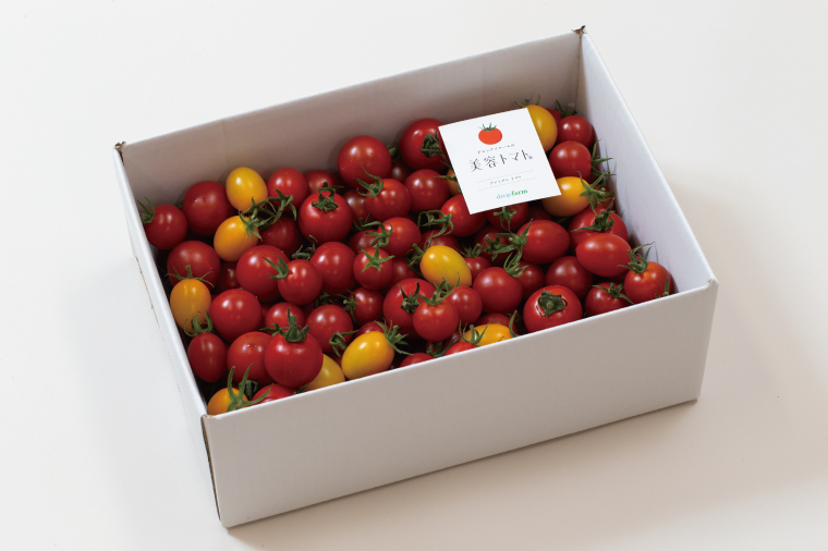 【2ヶ月定期便】【11月より順次発送】ドロップファームの美容トマトおまかせ2kg箱(４種ミックス)【とまと フルーツトマト 野菜ソムリエ 栄養士 アイコ イエローアイコ 小鈴 フルティカ 野菜 フレッシュ 水戸市 茨城県】（CK-17）