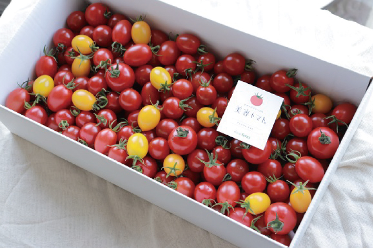 【3ヶ月定期便】【11月より順次発送】ドロップファームの美容トマトおまかせ3kg箱(4種ミックス)【とまと フルーツトマト 野菜ソムリエ 栄養士 アイコ イエローアイコ 小鈴 フルティカ 野菜 フレッシュ 水戸市 茨城県】（CK-114）