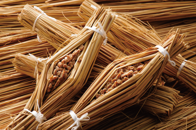 【3ヶ月定期便】【水戸納豆】昔ながらの納豆が好きな方へ 先人の知恵【納豆 なっとう 大豆 詰め合わせ 詰め合わせセット ギフト 贈り物水戸市 水戸 茨城県 】（DL-26）