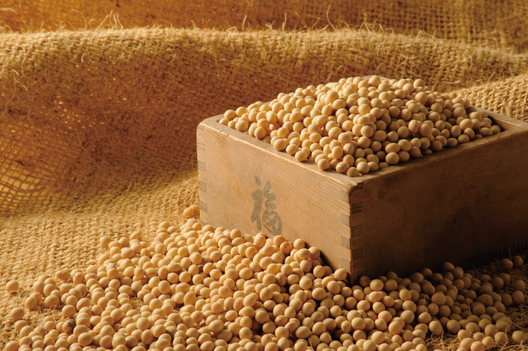 【3ヶ月定期便】【水戸納豆】四代目8個入り(カラシ4個・ワサビ4個)【納豆 なっとう 大豆 スズマル大豆  わさび 山葵 からし 辛子 ギフト 贈り物 水戸市 水戸 茨城県 】（DL-28）