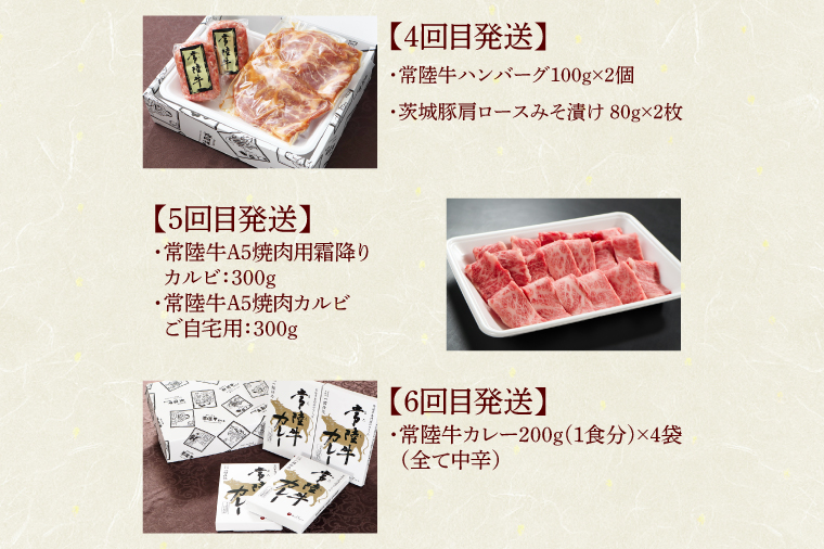 【定期便 全12回】 高級肉 常陸牛 12ヶ月 定期便 Aコース 148000円 毎月 常陸牛ハンバーグ 焼肉 すき焼き しゃぶしゃぶ コンビーフ レトルトカレー ギフト セット お中元 肉 ギフト対応 【肉のイイジマ】（DU-111）