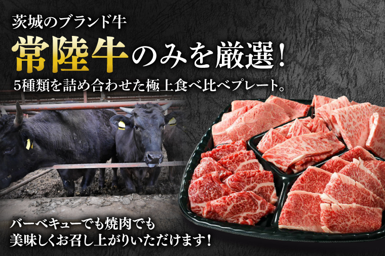 肉 常陸牛A5 イイジマBBQ 常陸牛 5種セットプレミアム 計650g お歳暮 牛肉 和牛 ブランド牛 常陸牛 焼肉 BBQ バーベキュー【肉のイイジマ】（DU-135）