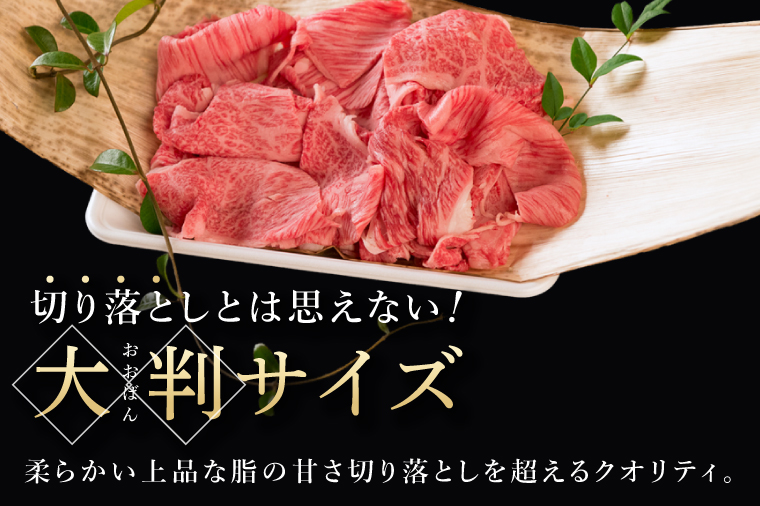 常陸牛 霜降り 肩ロース 切り落とし 200g 牛肉 すき焼き しゃぶしゃぶ 牛丼 冷凍保存 生産者直送【肉のイイジマ】（DU-175）